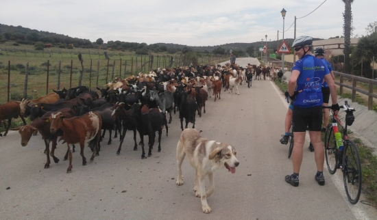 Radsportclub trainiert in Spanien